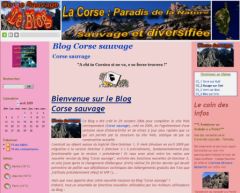 Apparence générale du Blog en Dotclear 2