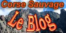 Icone Blog Corse sauvage : retour Accueil