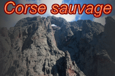 Le site Web Corse sauvage